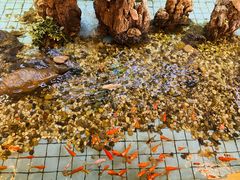 -良友·海鲜青岛菜(五四广场店)