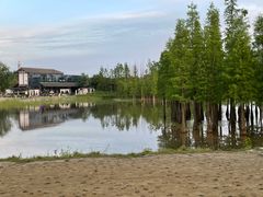 -白鹭湾湿地公园