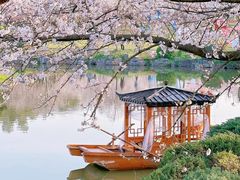 -东湖磨山景区