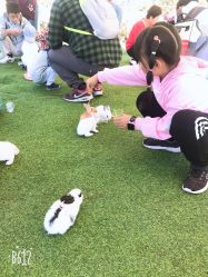 -萌宠亲子动物乐园(槐房万达店)