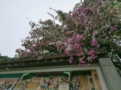 -深圳国际园林花卉博览园