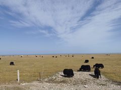 -青海湖国家重点风景名胜区