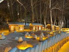 -长春世界雕塑园冰雪艺术天地