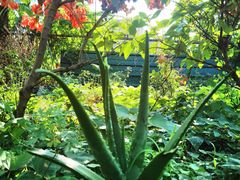 -园林美食城·本土农家菜(杨和镇店)