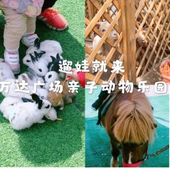 -萌宠亲子动物乐园(槐房万达店)