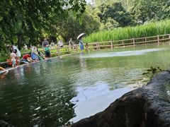 -成都市活水公园