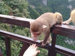 -重庆云阳龙缸景区