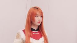 -Hair  Gallery