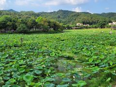 -红山村