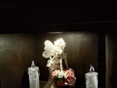 -雪灵魔法世界SHELLY’S TAROT(大良桂畔里店)