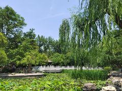 -莲湖公园