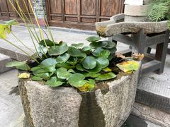 -海窝子刘鹅肉(总店)