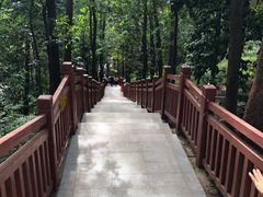 -南国桃园旅游度假区