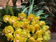 -春暖花开(西溪店)