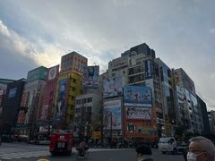-秋叶原电器街