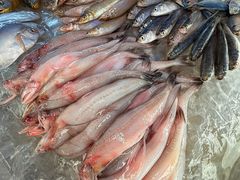 -荣基四海一家·家常菜·海鲜大排档(新安店)