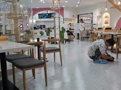 大堂-喵园·猫主题咖啡厅·撸猫·猫咖(国贸店)