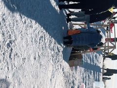 -绿野森林乐园冰雪季