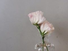 -蜜悦·波西塔诺悬崖海景餐厅
