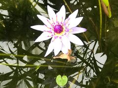 -北京植物园-展览温室