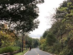 -宝界山林公园