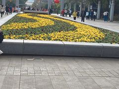 -武汉大学-樱园