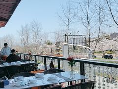 -宝荣鱼馆·临湖之宴(千岛湖店)
