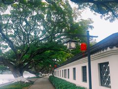 -江心屿景区