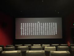 -新影联·华谊兄弟影院(望京店)