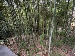 -龙头寺公园