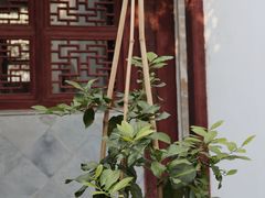 -常州市第一人民医院