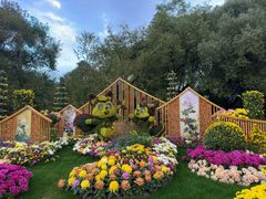 -上海共青森林公园