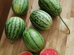 -三旗百汇商品城