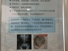 -上海市第四人民医院