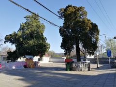 -大觉寺-停车场