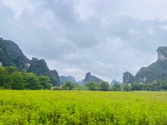 -明仕田园