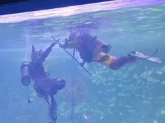-常州海昌海洋探索馆