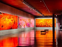 -罗红摄影艺术馆