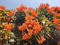 -中国移动南方基地