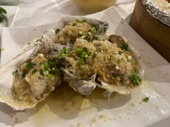 -云中小雅