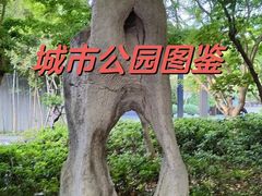 -静安雕塑公园