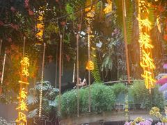 -正佳雨林生态植物园