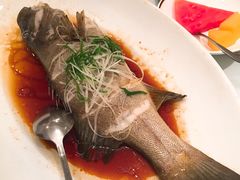 -老洋房花园饭店(绍兴路店)