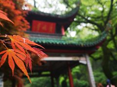 -岳麓山风景名胜区