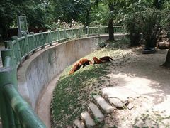 -西安秦岭野生动物园