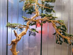 -百富源·海鲜辽菜(和平北大街店)