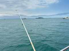 -小猫钓鱼海钓俱乐部(椰梦长廊店)