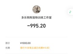 -多乐狗狗宠物训练工作室