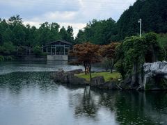 -四明山国家森林公园