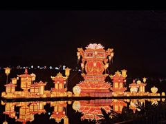 -广西壮族自治区药用植物园